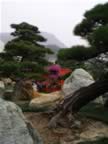 Chi-Lin-Garden-6.jpg (81kb)