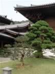 Chi-Lin-Nunnery-10.jpg (90kb)
