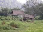 Elephant-Shelter-1.jpg (99kb)