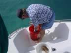 Anegada-lobster-preparing.jpg (33kb)