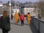 Zurich-Town-Easter-bunnies.jpg (54kb)