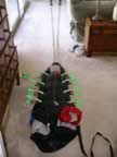 Main-held-by-clamps.jpg (100kb)
