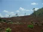 Hill-Tribes-clear-burn-3.jpg (70kb)