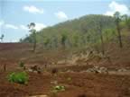 Hill-Tribes-clear-burn-4.jpg (94kb)
