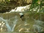 Sri-Sang-Wan-Waterfall-Park-Alex-climbing.jpg (82kb)