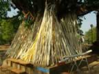 Wat-Chet-Yot-Pilliar-faith-sticks.jpg (126kb)